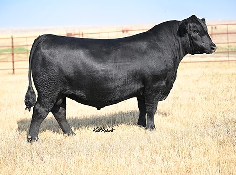 SYDGEN EMPIRE 3715